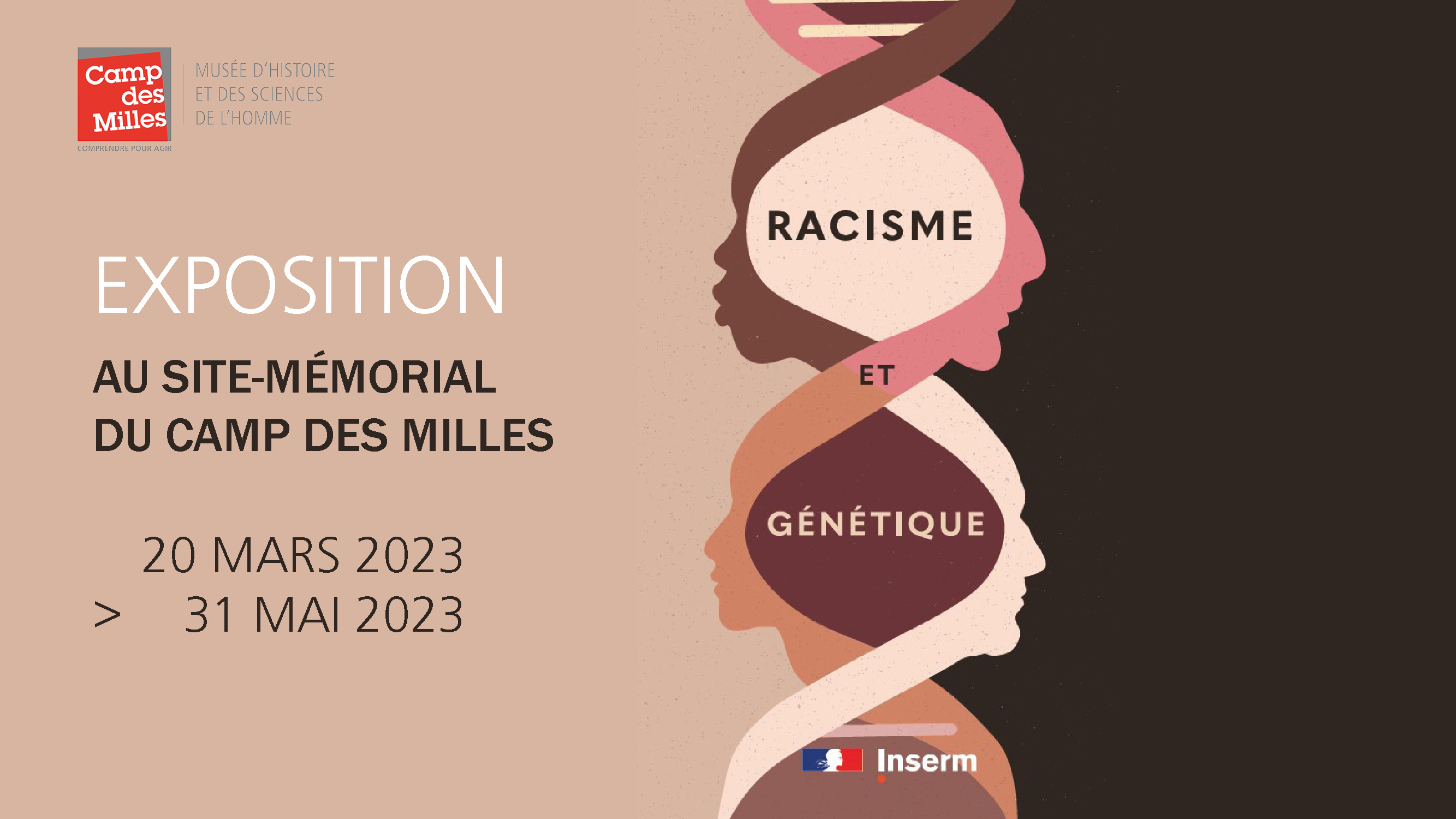exposition Racisme et génétique